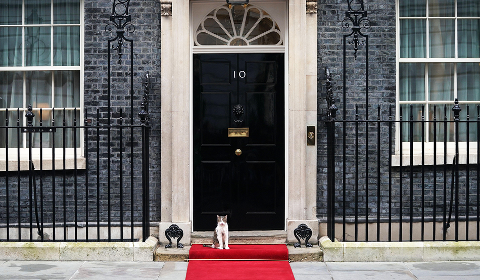 Larry the Downing Street cat has outlasted six prime ministers since moving into Number 10 in 2011. Credit: Associated Press/Alamy