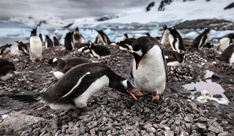 Topics highlight image