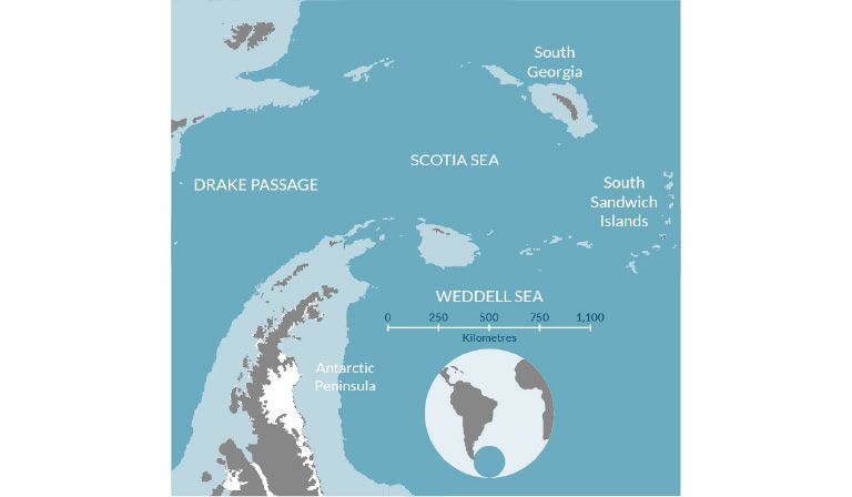 Biodiversity hotspot: South Georgia and the South Sandwich Islands
