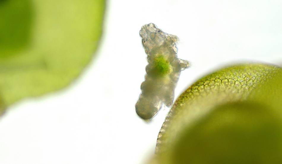 Editors picks highlight image