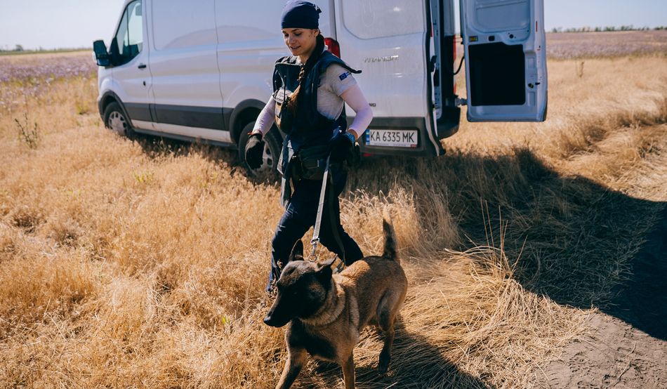 Dog handlers like Daryna Hromychenko (with Charlie) can cover large areas of land. Credit: Julia Kochetova