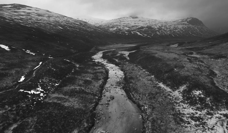 A still from “Upstream”, directed by Rob Petit © Via Upstreamthefilm