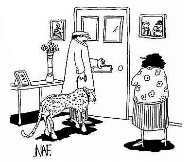 "Why did we get a cheetah? They need so much walking."