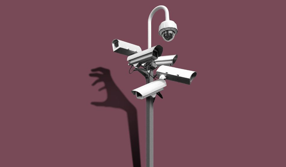 Editors picks highlight image