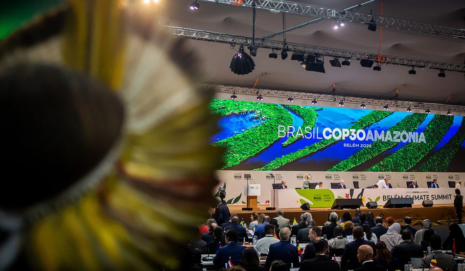 Image: Lela Beltrão/SUMAÚMA