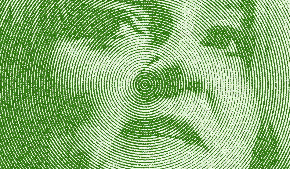 Editors picks highlight image