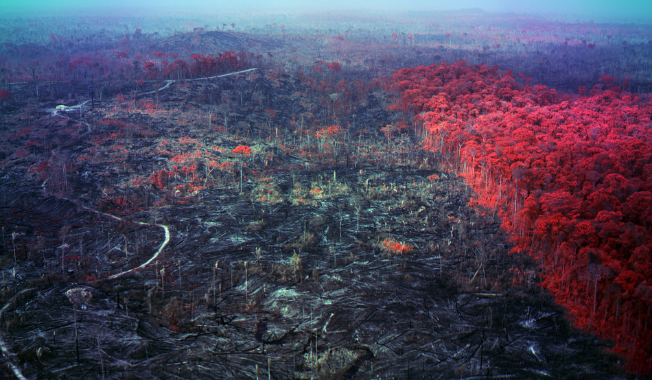 Image: Courtesy of the artist, Jack Shainman Gallery, New York and carlier | gebauer, Berlin/Madrid. © Richard Mosse
