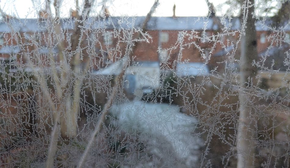 The view from inside Tim's garden office, showing ice forming on the window. Image: Tim Smedley