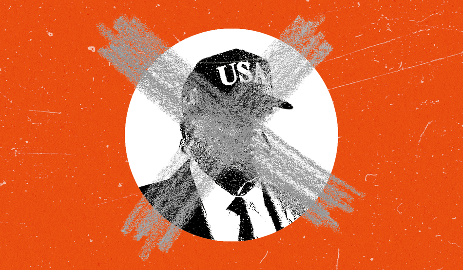 Editors picks highlight image