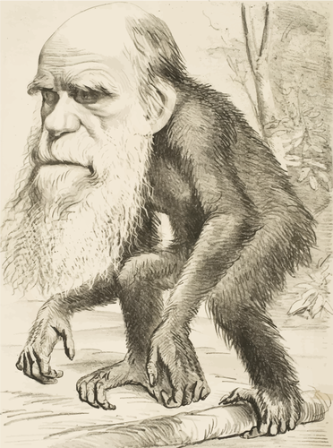 "A Venerable Orang-Outang," Hornet, 22nd March 1871