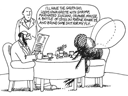 kliban