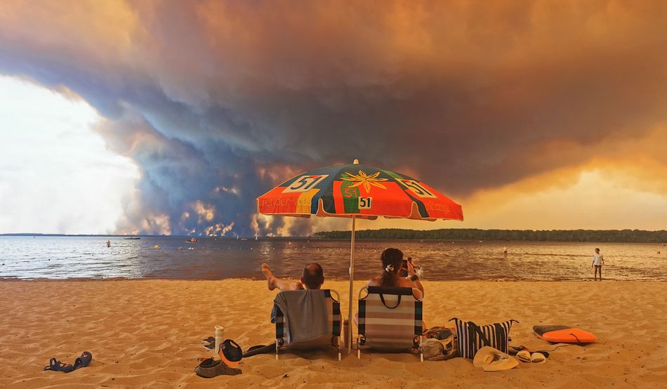 Editors picks highlight image