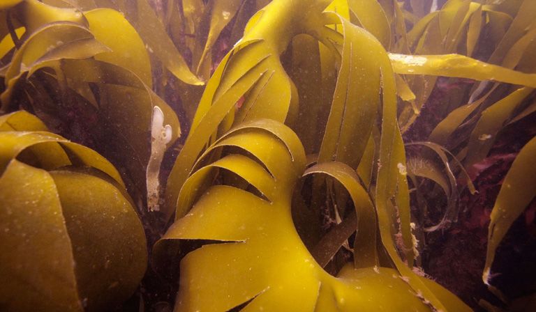 © Gary Doak/Alamy Stock Photo