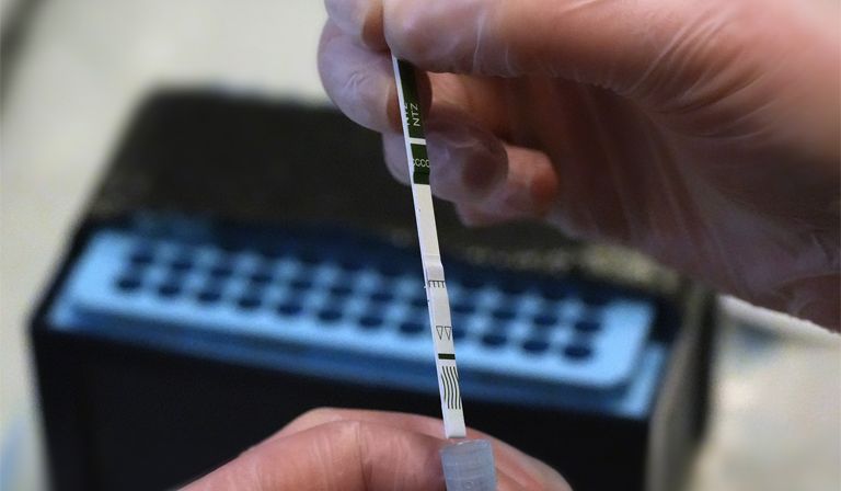 An  analytical chemist uses a test strip to detect synthetic opioids at The Loop’s drug testing lab in Bristol © Tiernan/The Loop