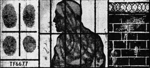 Illustrations by Ben Jones