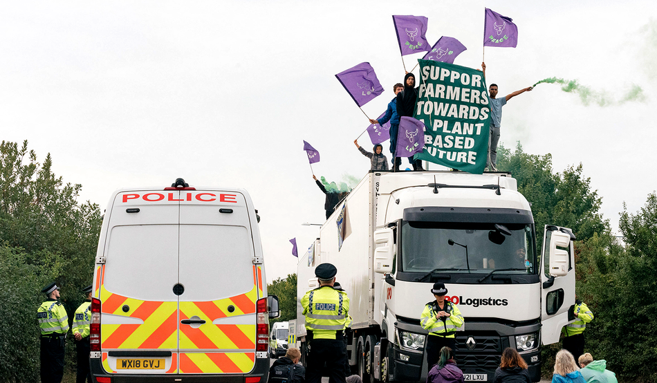 Animal Rebellion protesters engaged in coordinated action to disrupt milk supply across England in 2022. Photo by Alamy