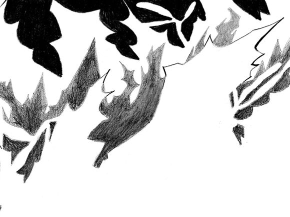 Illustration by Lucy Haslam