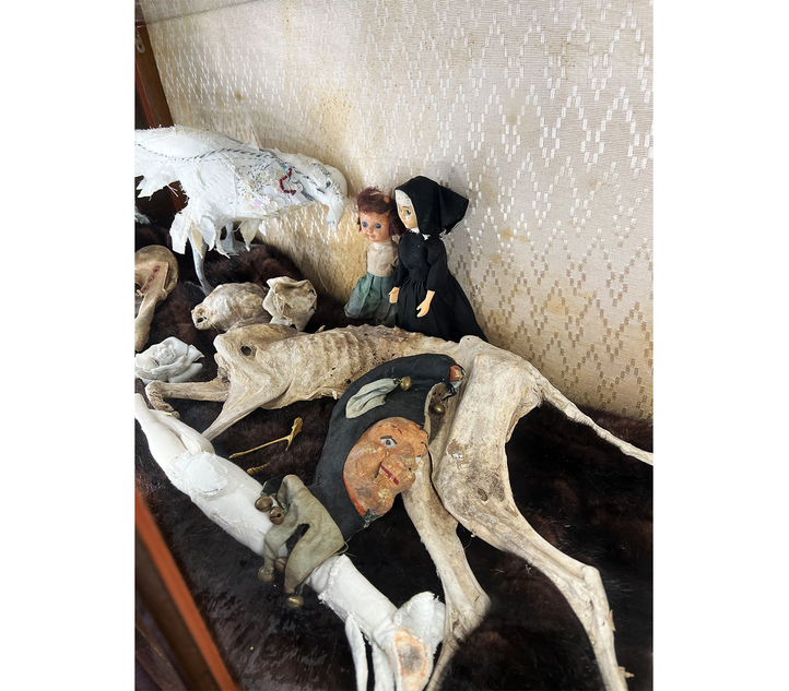 A revival of interest: some of the items on display at the Museum of Folklore and Magic in Falmouth. Image: David Barnett