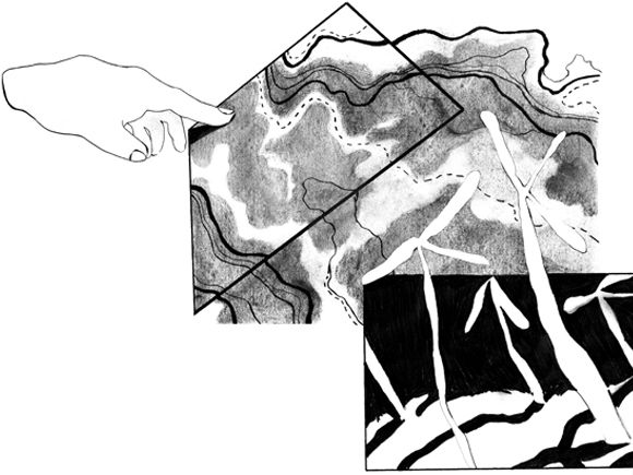 Illustration by Lucy Haslam