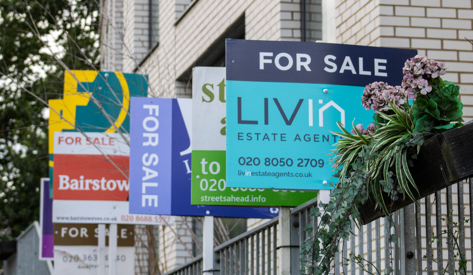 Image: Simone Ami / Shutterstock