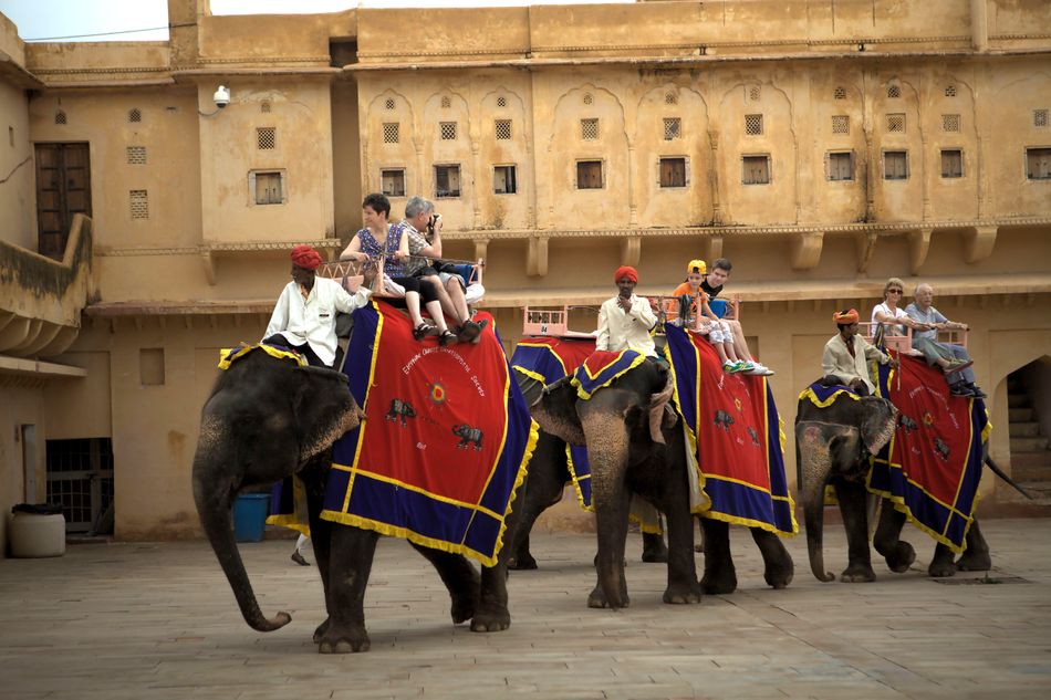 Broken spirits: elephants from the Hathi Gaon “Elephant Village” carrying tourists up to the Amer Fort. Image: REY Pictures / Alamy Stock Photo