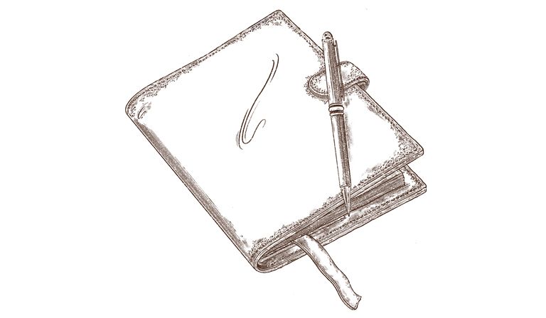 Illustration by Jessie Bayliss