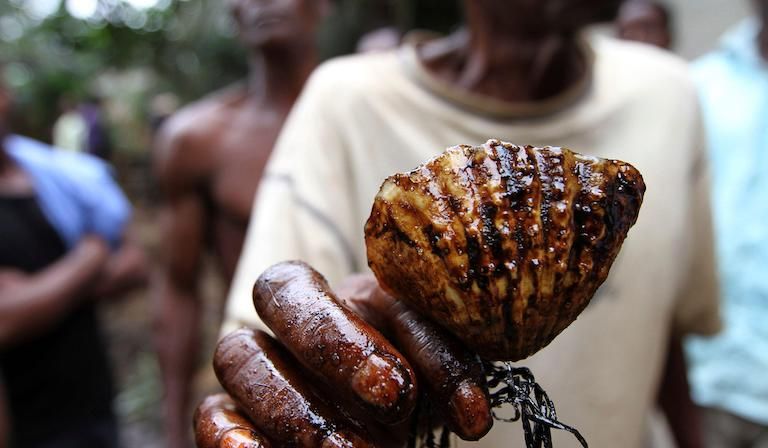 A man holds a shell coated in oil from a polluted river in Bidere community in Ogoniland in Nigeria's delta region, August 2011.