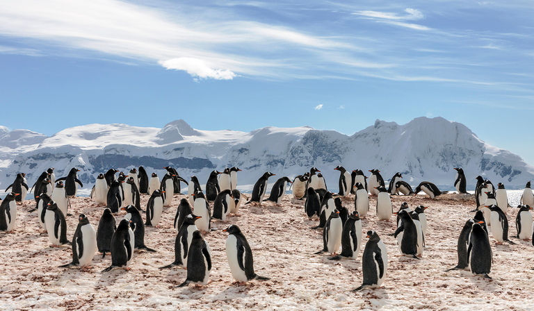 Climate-image