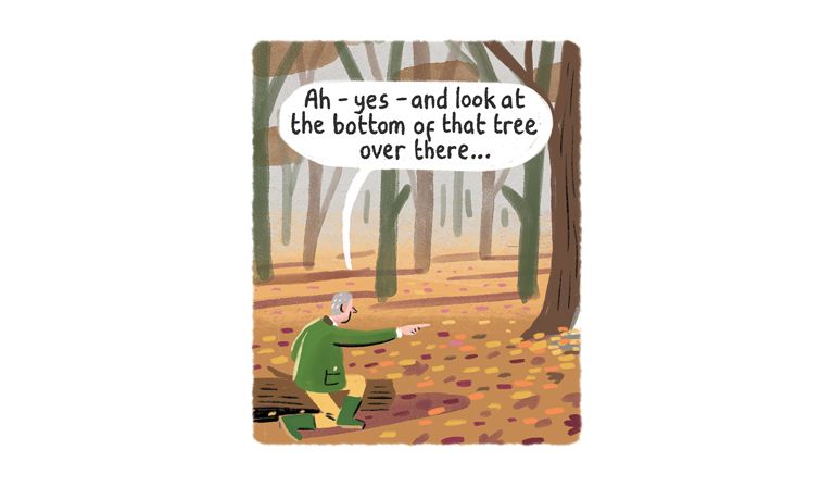 Cartoons-image