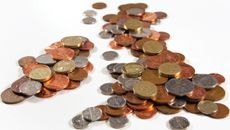 AC Grayling topic image