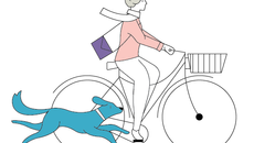 The Queen topic image