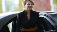 European Politics topic image