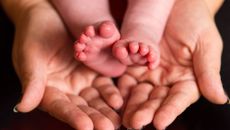 Fertility topic image