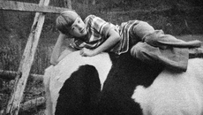 Popular Stories image