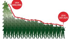 Ministry of Defence topic image