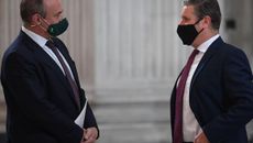 Green Party topic image