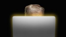 United States topic image