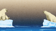 Culture topic image