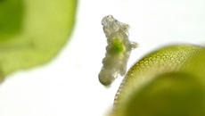 Environment topic image