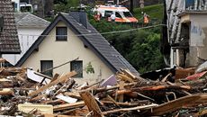 Green Party topic image