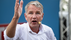 Far Right topic image