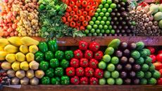 Lifestyle topic image