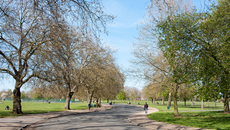 Local Government topic image