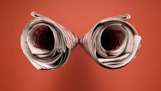 Newspapers and Magazines topic image