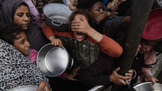 Palestine topic image