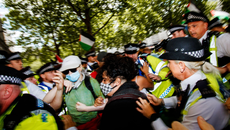 Law and Government topic image