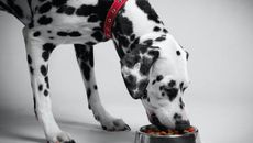 Investment topic image