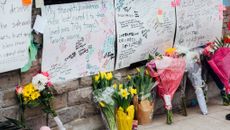 Violence topic image