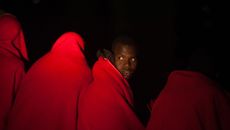 Migration topic image