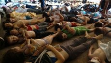 AC Grayling topic image